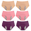 6pc High Waist LeakProof Panties - DesignComfort