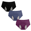 3pc High Waist LeakProof Panties - DesignComfort